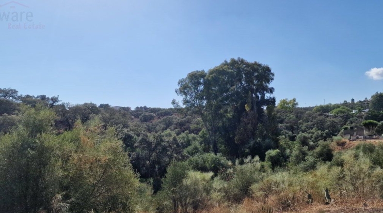 Sevilla - Las Pajanosas - 1291m2