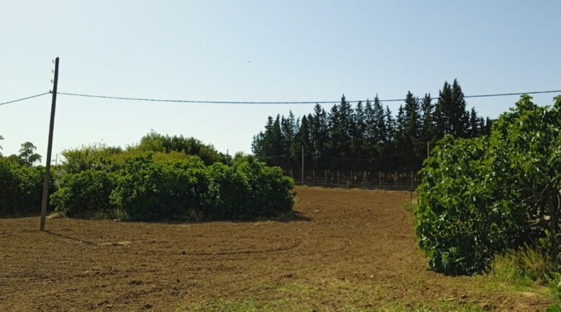 Cádiz - Jerez de la Frontera - 15494m2