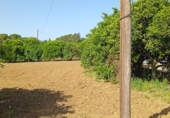 Finca rústica en venda a Jerez de la Frontera ref.: TR182876 foto