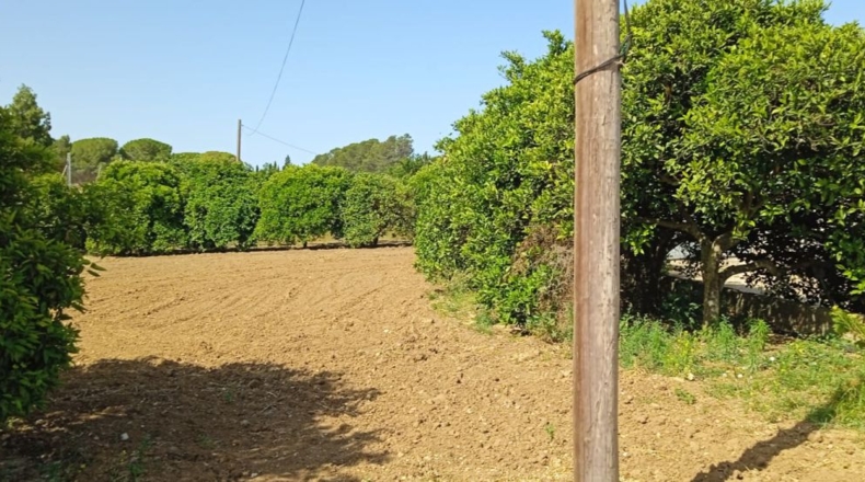 Cádiz - Jerez de la Frontera - 15494m2