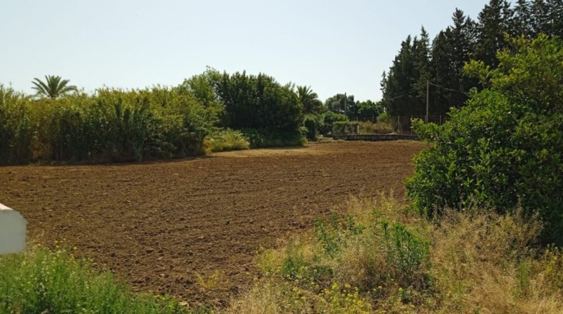 Cádiz - Jerez de la Frontera - 15494m2