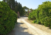 Finca rústica en venda a Jerez de la Frontera ref.: TR182876 foto