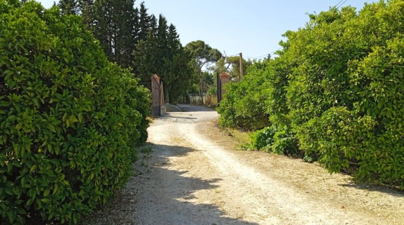 Cádiz - Jerez de la Frontera - 15494m2