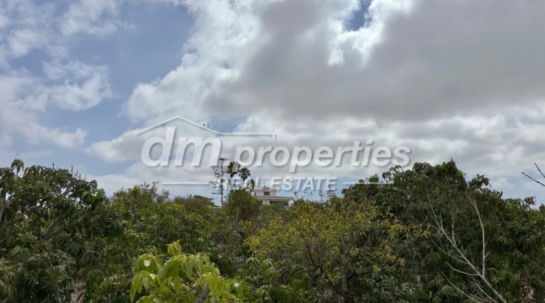 Santa Cruz de Tenerife - Las Casa Viejas - 10000m2