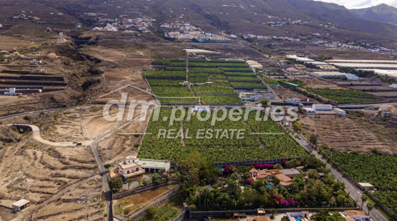 Santa Cruz de Tenerife - Adeje - 28000m2