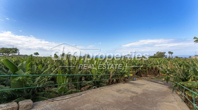 Santa Cruz de Tenerife - Adeje - 28000m2