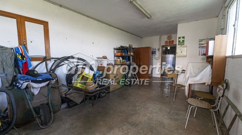 Santa Cruz de Tenerife - Adeje - 28000m2
