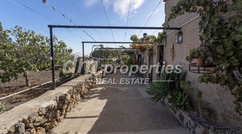 Santa Cruz de Tenerife - Канделария - 15000m2