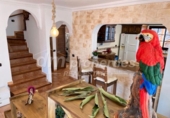 Villa con terreno en venta en La Orotava ref: TR258411 foto