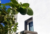 Villa con terreno en venta en Arona ref: TR332784 foto