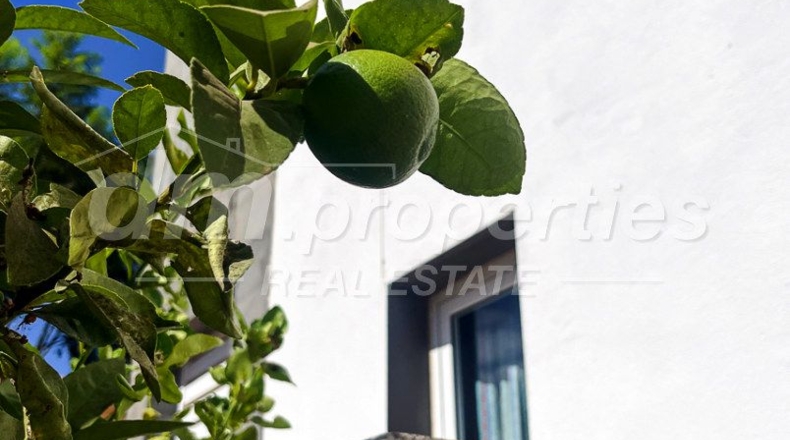 Santa Creu de Tenerife - Arona - 400m2