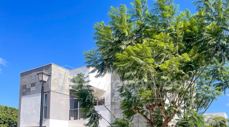 Santa Creu de Tenerife - Arona - 400m2