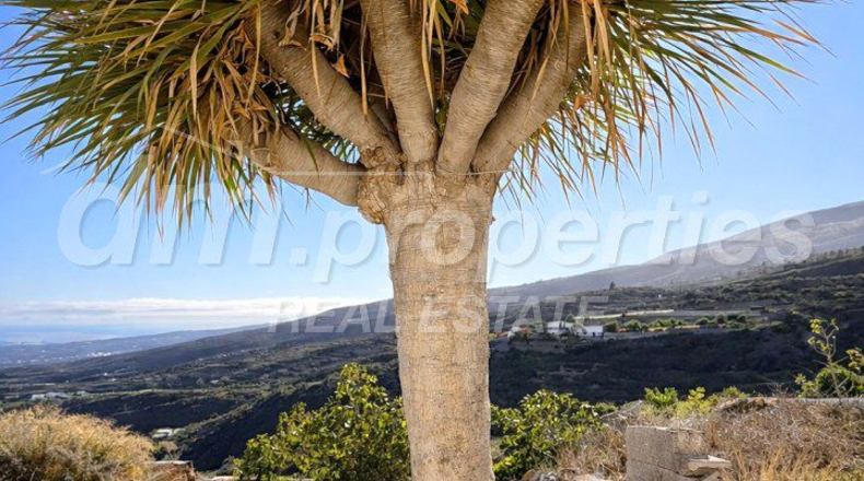 Santa Cruz de Tenerife - Fasnia - 5228m2