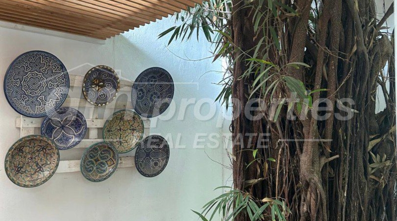Santa Cruz de Tenerife - Los Cristianos - 365m2