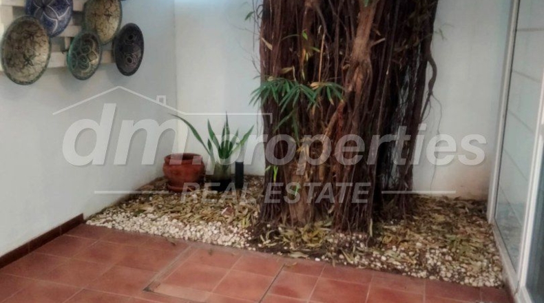 Santa Cruz de Tenerife - Los Cristianos - 365m2