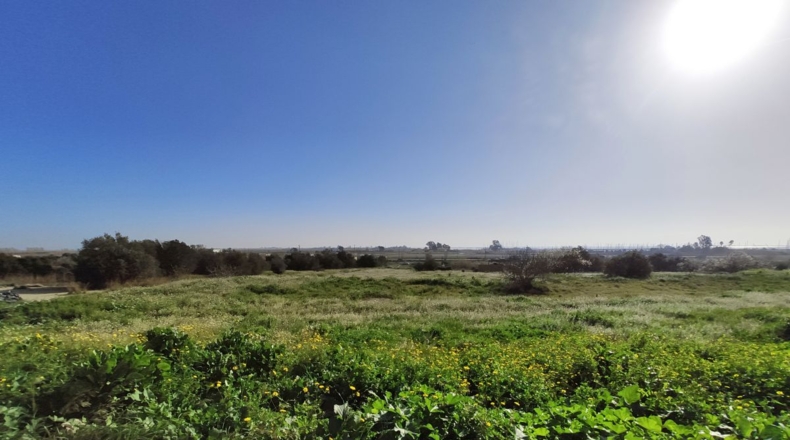 Tarragona - Sant Carles de la Ràpita - 8000m2