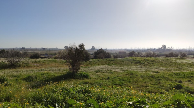 Tarragona - Sant Carles de la Ràpita - 8000m2