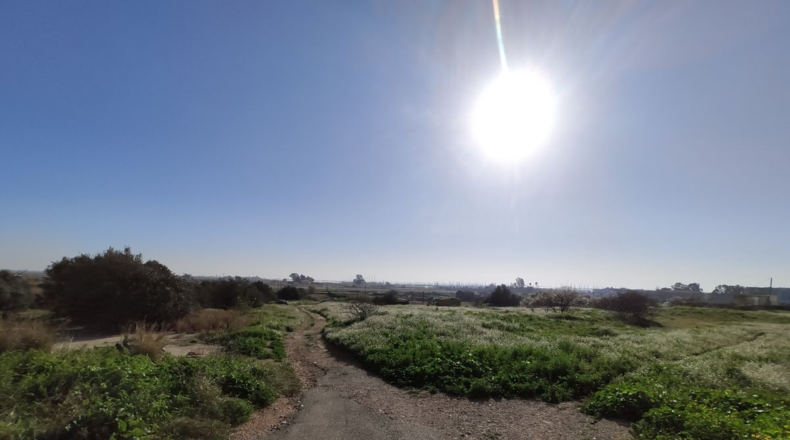 Tarragona - Sant Carles de la Ràpita - 8000m2