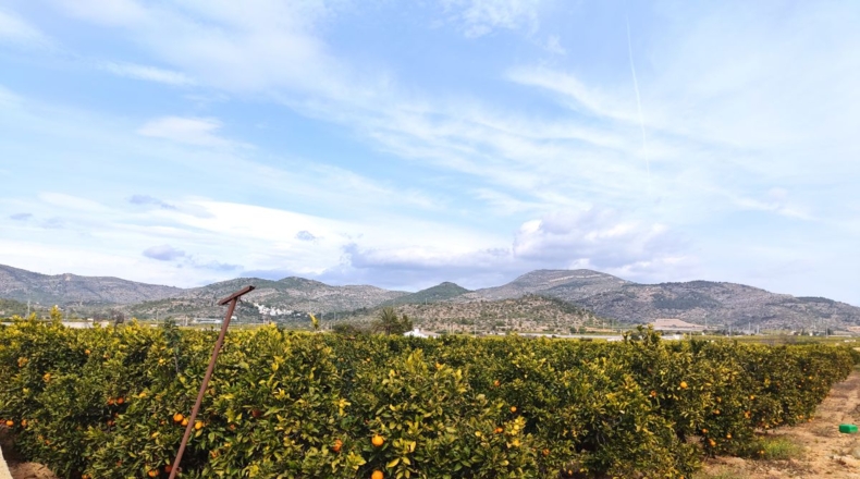 Tarragona - Alcanar - 12200m2