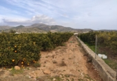 Finca rústica en venta en Alcanar ref: TR29895 foto