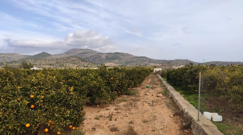 Tarragona - Alcanar - 12200m2