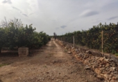 Finca rústica en venta en Alcanar ref: TR29895 foto
