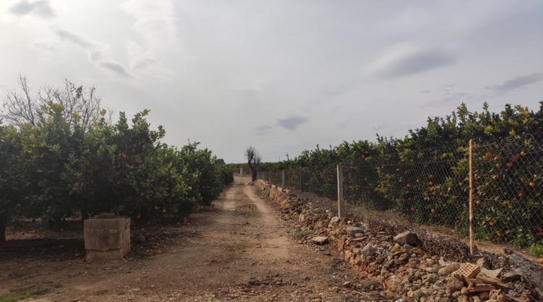 Tarragona - Alcanar - 12200m2