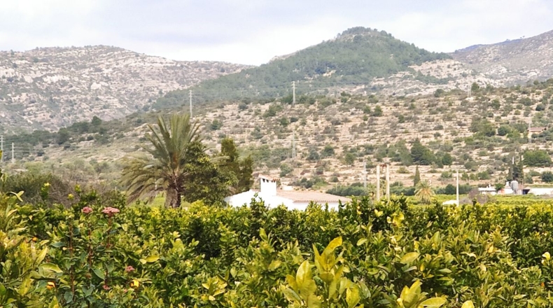 Tarragona - Alcanar - 12200m2