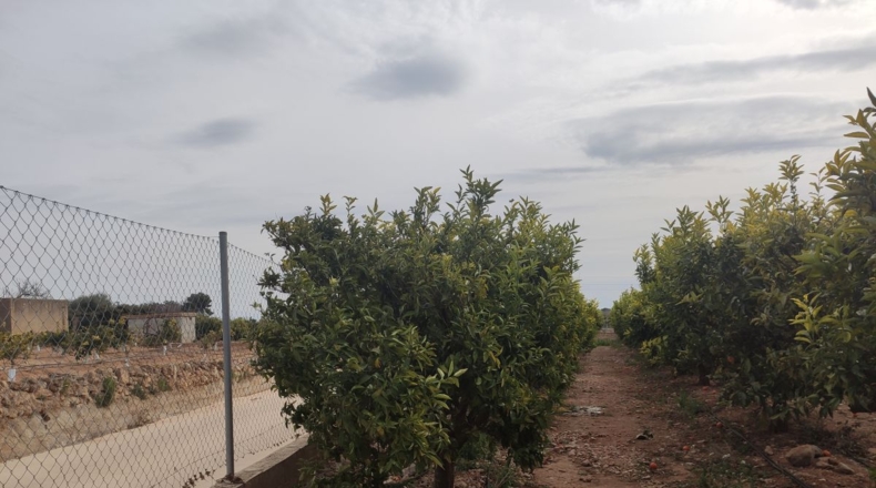 Tarragona - Alcanar - 12200m2