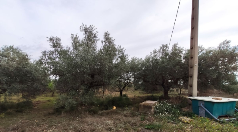 Tarragona - Alcanar - 7000m2
