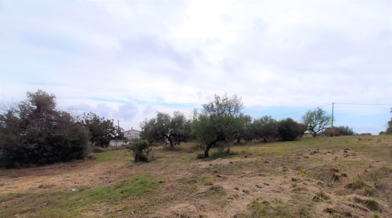 Tarragona - Alcanar - 7000m2