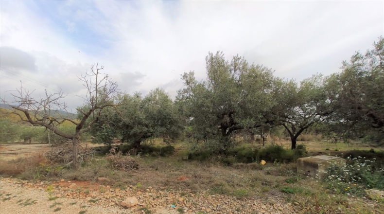 Tarragona - Alcanar - 7000m2