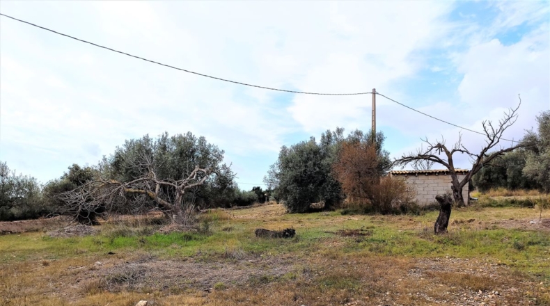 Tarragona - Alcanar - 7000m2