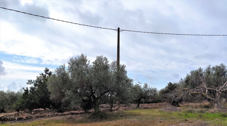 Tarragona - Alcanar - 7000m2