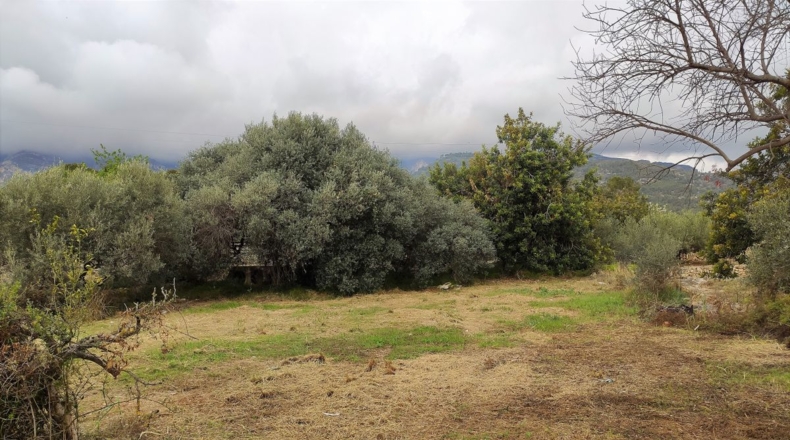 Tarragona - Alcanar - 7000m2