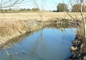 Non-developable land for sale in Amposta ref: TR36710 photo