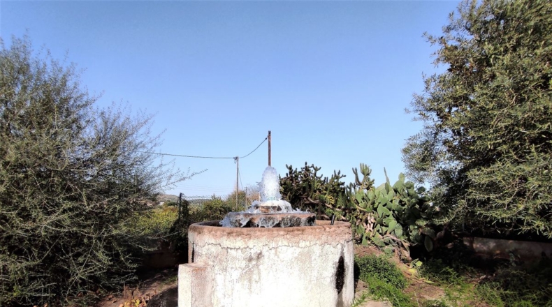 Tarragona - Alcanar - 5200m2