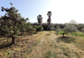 Chalet independiente con terreno en venta en Alcanar ref: TR21331 foto