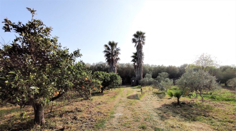 Tarragona - Alcanar - 5200m2