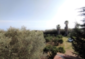 Chalet independiente con terreno en venta en Alcanar ref: TR21331 foto