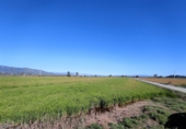 Terreno no urbanizable en venta en la Ràpita ref: TR54854 foto