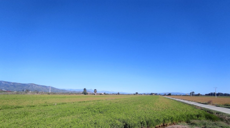 Tarragona - Sant Carles de la Ràpita - 5790m2
