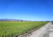 Terreno no urbanizable en venta en la Ràpita ref: TR54854 foto