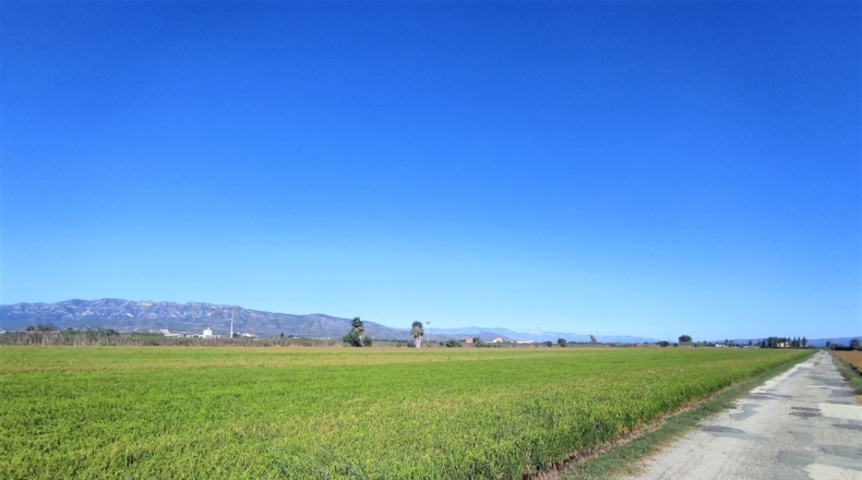 Tarragona - Sant Carles de la Ràpita - 5790m2