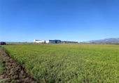 Terreno no urbanizable en venta en la Ràpita ref: TR54854 foto