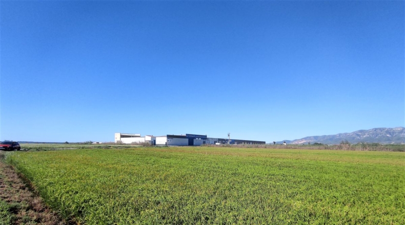 Tarragona - Sant Carles de la Ràpita - 5790m2