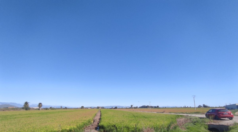 Tarragona - Sant Carles de la Ràpita - 5790m2