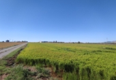 Terreno no urbanizable en venta en la Ràpita ref: TR54854 foto