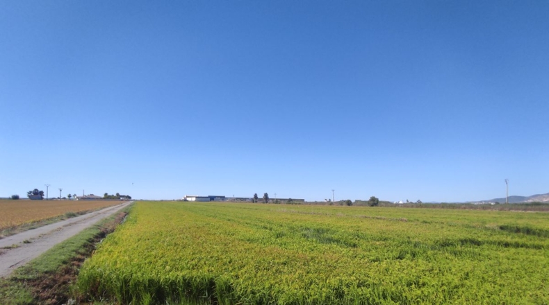 Tarragona - Sant Carles de la Ràpita - 5790m2