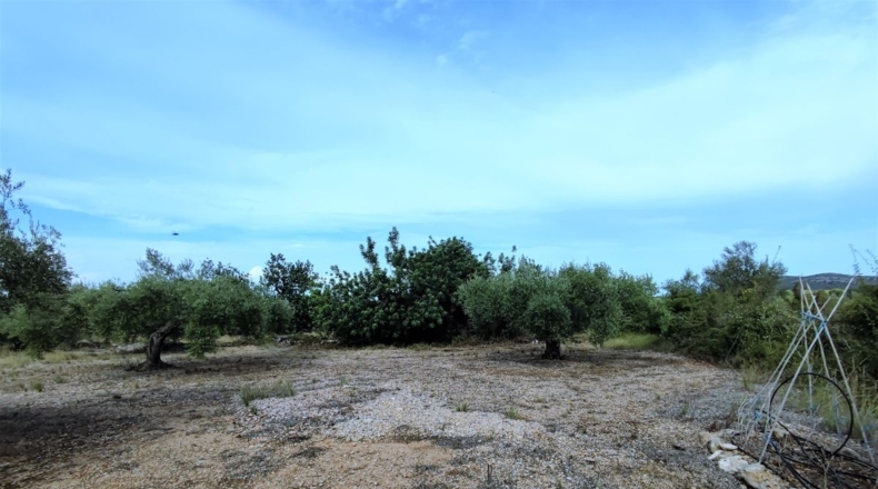 Castellón - Benicarló - 10086m2